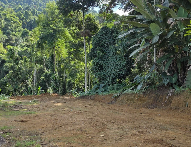 fracao-o-tibum-paraty.3jpg