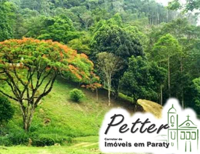 sitio_corrego_dos_micos_paraty_9